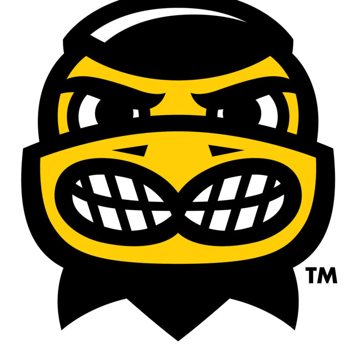 NEW! Iowa Hawkeyes Thumbnail