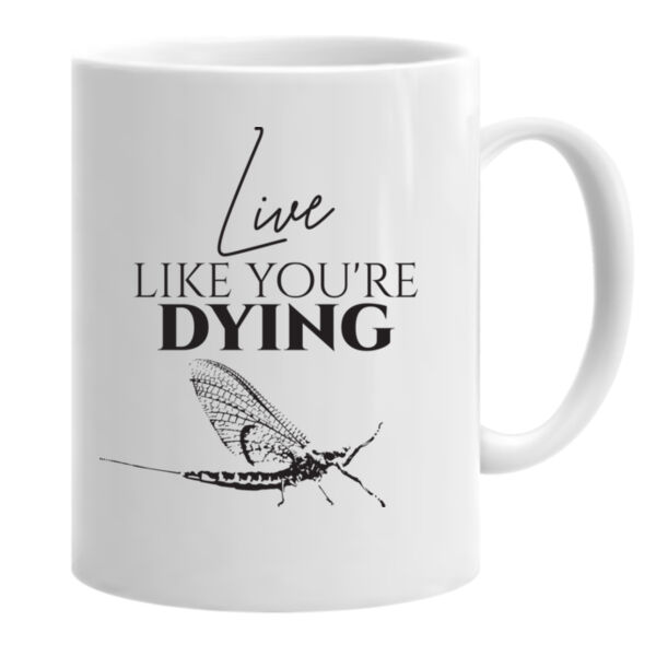 Live Like You're Dying Ceramic Mug Thumbnail